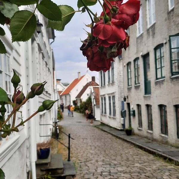 Stavanger Stadt Gasse auf eigene Faust