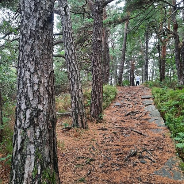 Kristiansand Natur erkunden