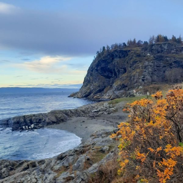 Wandern in Trondheim