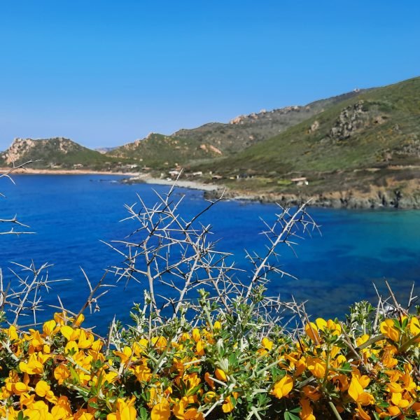 Ajaccio auf eigene Faust