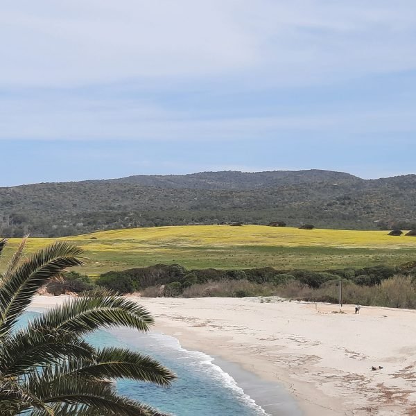 Ajaccio auf eigene Faust