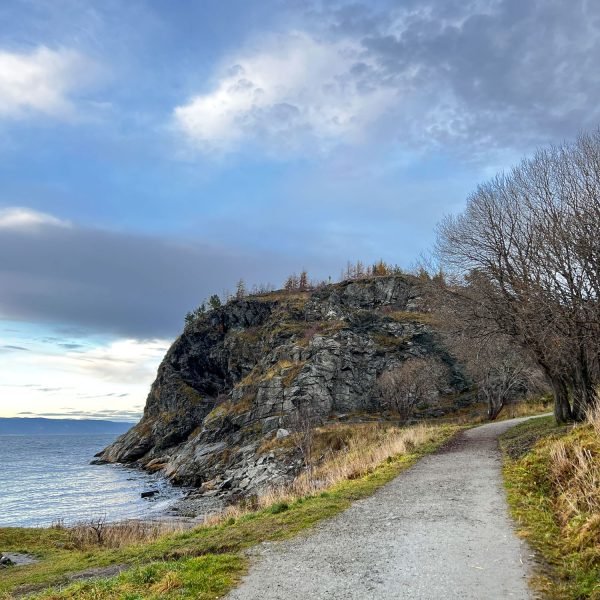 Ladehammeren Trondheim Landgang
