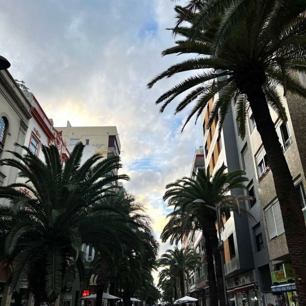 Las Palmas de Gran Canaria auf eigene Faust