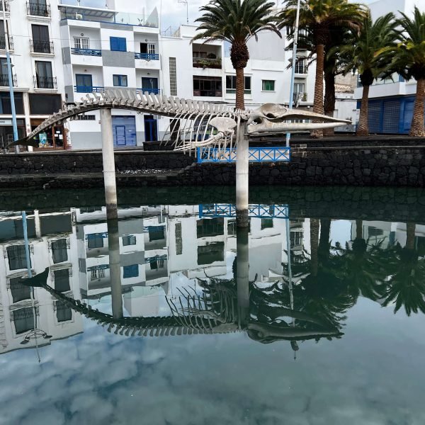 Arrecife Stadt