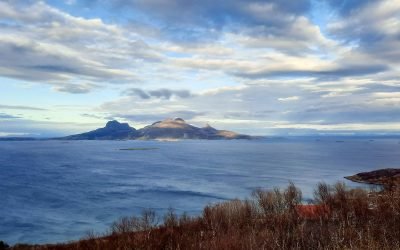 Bodø auf eigene Faust