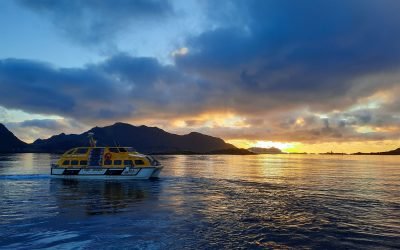 Lofoten Leknes auf eigene Faust